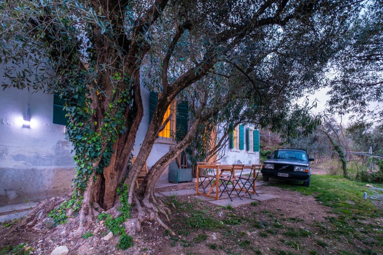 Villa Ca Del Vajo Valpolicella House à Negrar Extérieur photo