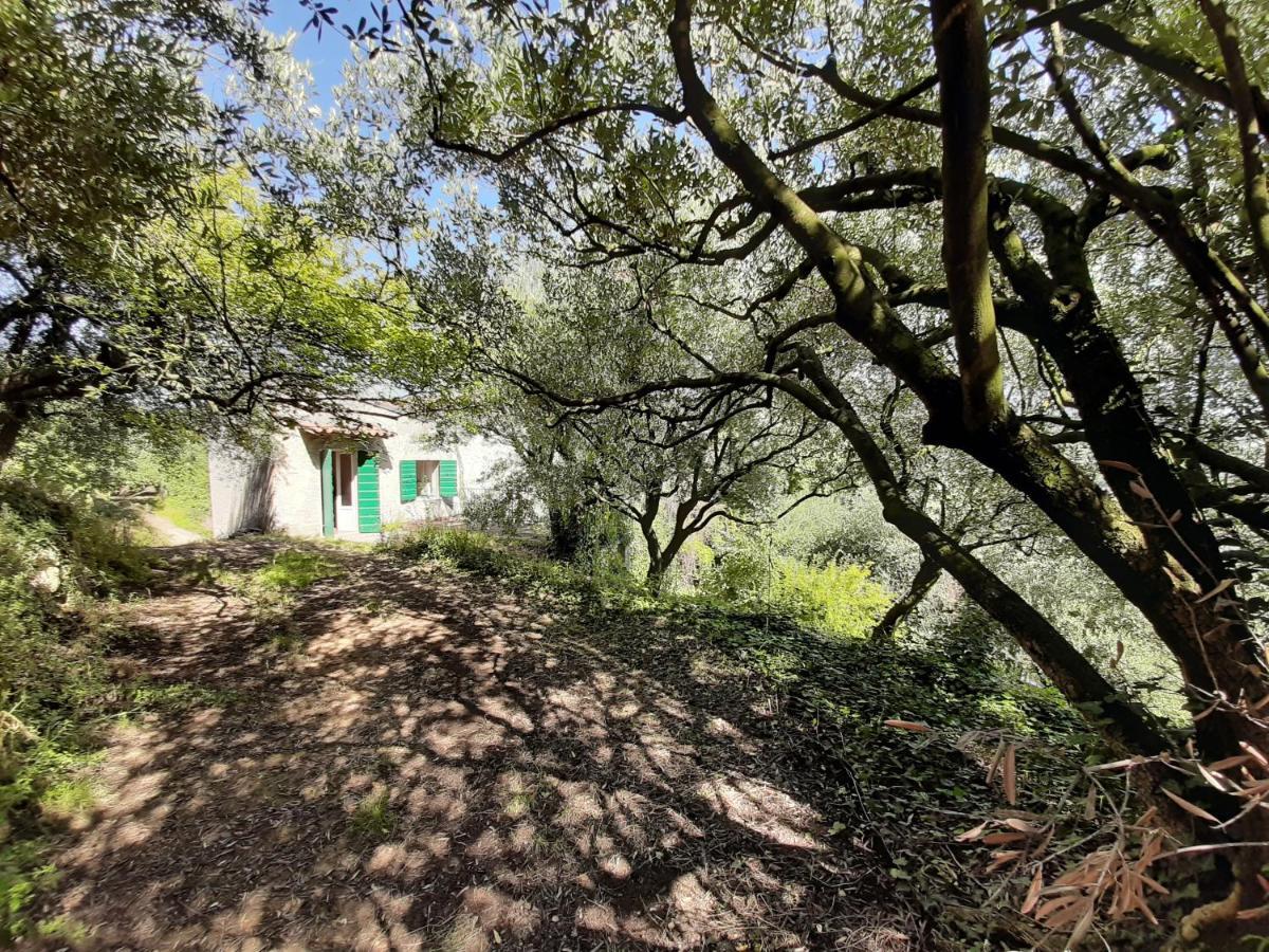 Villa Ca Del Vajo Valpolicella House à Negrar Extérieur photo